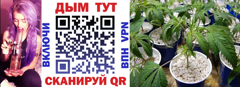 Виды наркоты Мичуринск Кокаин Alpha-PVP Амфетамин МДМА Бошки Шишки ГАШИШ