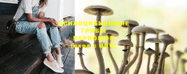 MDMA Premium VHQ Вяземский