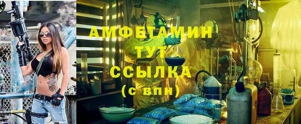 сатива Вязьма