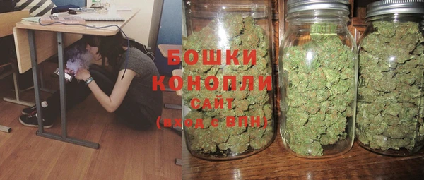 сатива Вязьма