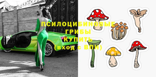MDMA Premium VHQ Вяземский