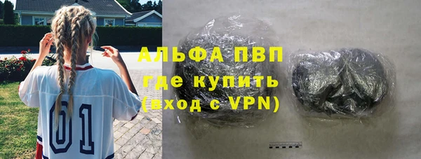 сатива Вязьма